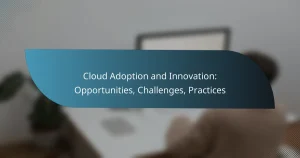 Read more about the article Cloud Adoption and Innovation: Opportunities, Challenges, Practices