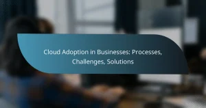 Read more about the article Cloud Adoption in Businesses: Processes, Challenges, Solutions