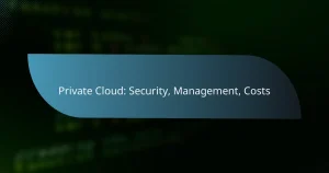 Read more about the article Private Cloud: Security, Management, Costs